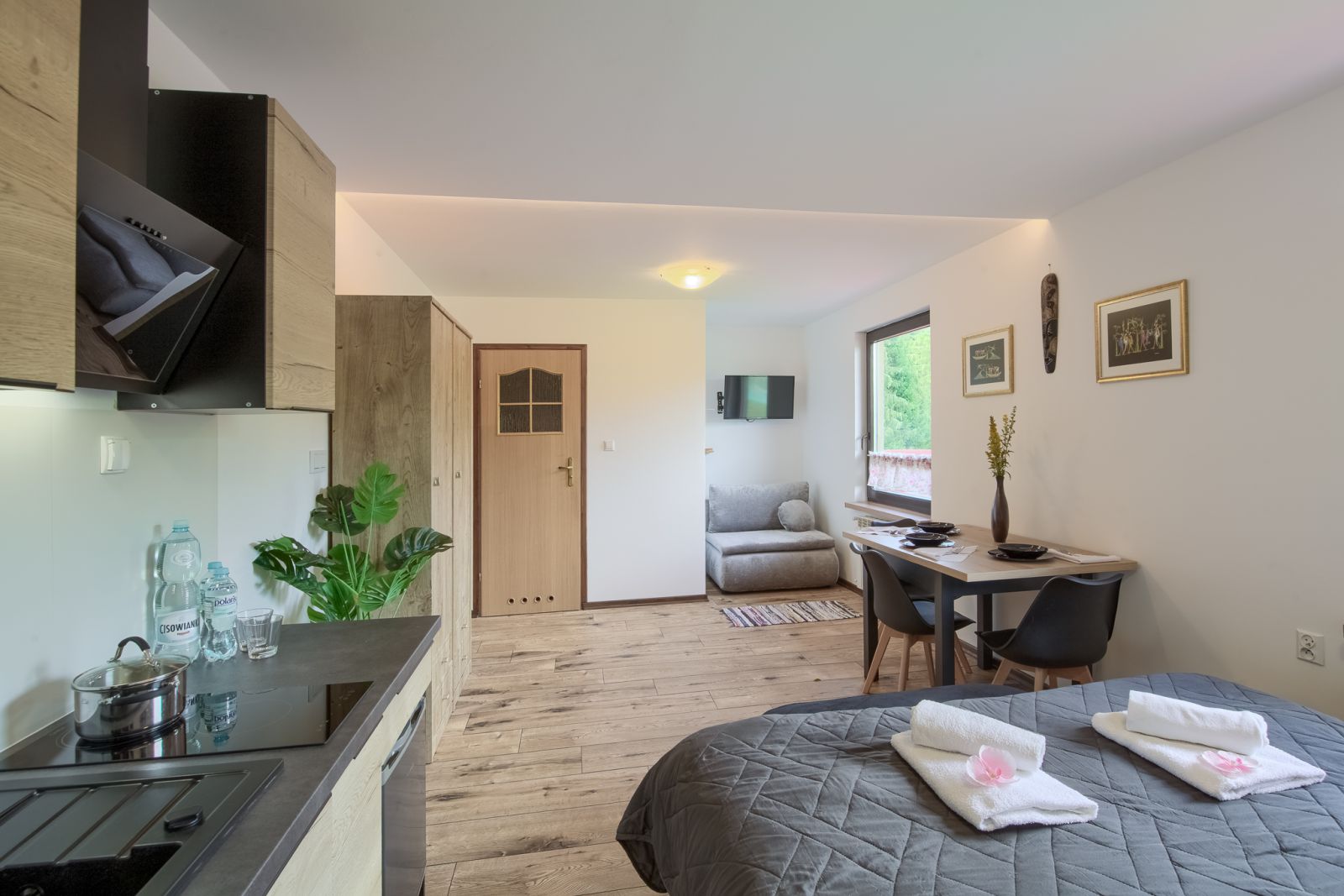 Aneks kuchenny z płytą indukcyjną w Apartamencie Afrykańskim Willi OdNova Tylicz, w tle sofa i stół