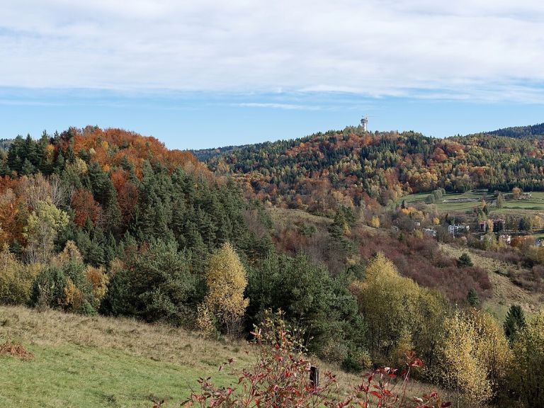 Góra Parkowa (742 m n.p.m.) w Krynicy-Zdroju