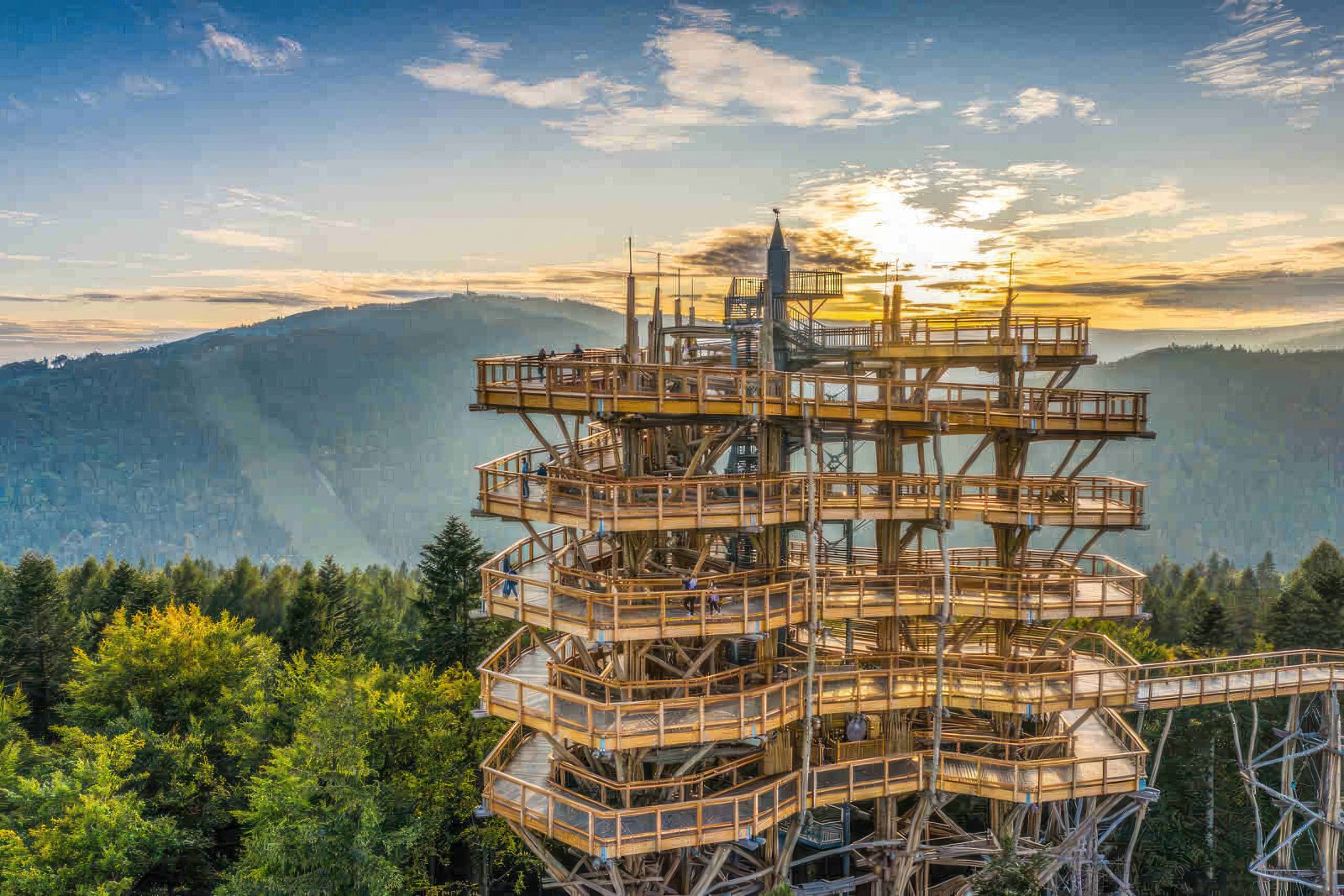 Drewniana wieża widokowa w koronach drzew z widokiem na Beskid Sądecki, popularny punkt wycieczek